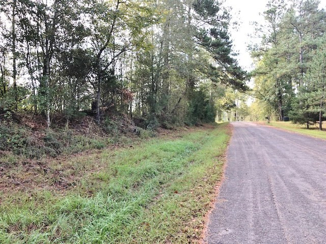 0 Garner Road Summit, MS 39666 - Photo 4 of 7 Photo 4