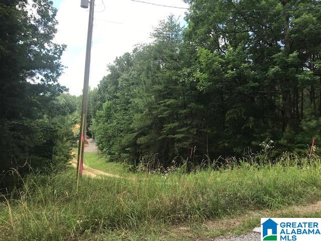 Mountain View Vance, AL 35490 - Photo 3 of 28