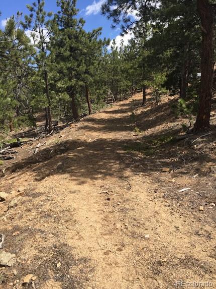 854 Crescent Lake Road Golden, CO 80403 - Photo 2 of 10