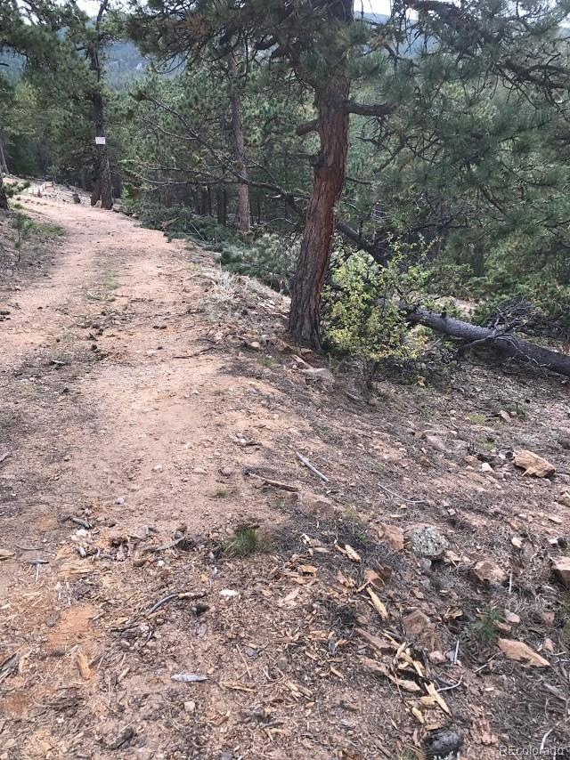 854 Crescent Lake Road Golden, CO 80403 - Photo 3 of 10