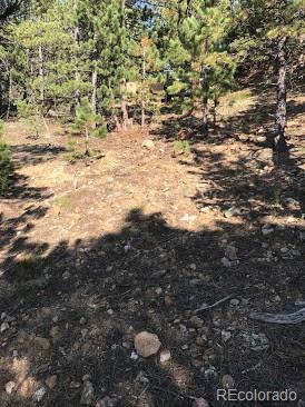 854 Crescent Lake Road Golden, CO 80403 - Photo 4 of 10