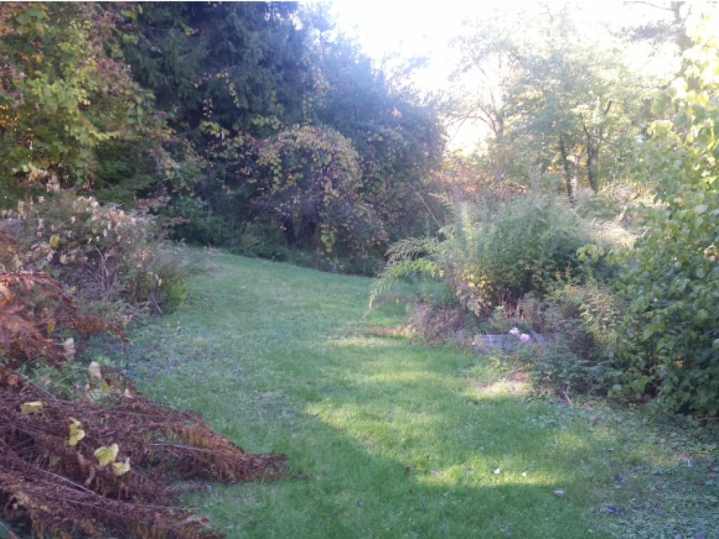 165 Smith Road Antrim, NH 03440 - Photo 6 of 25