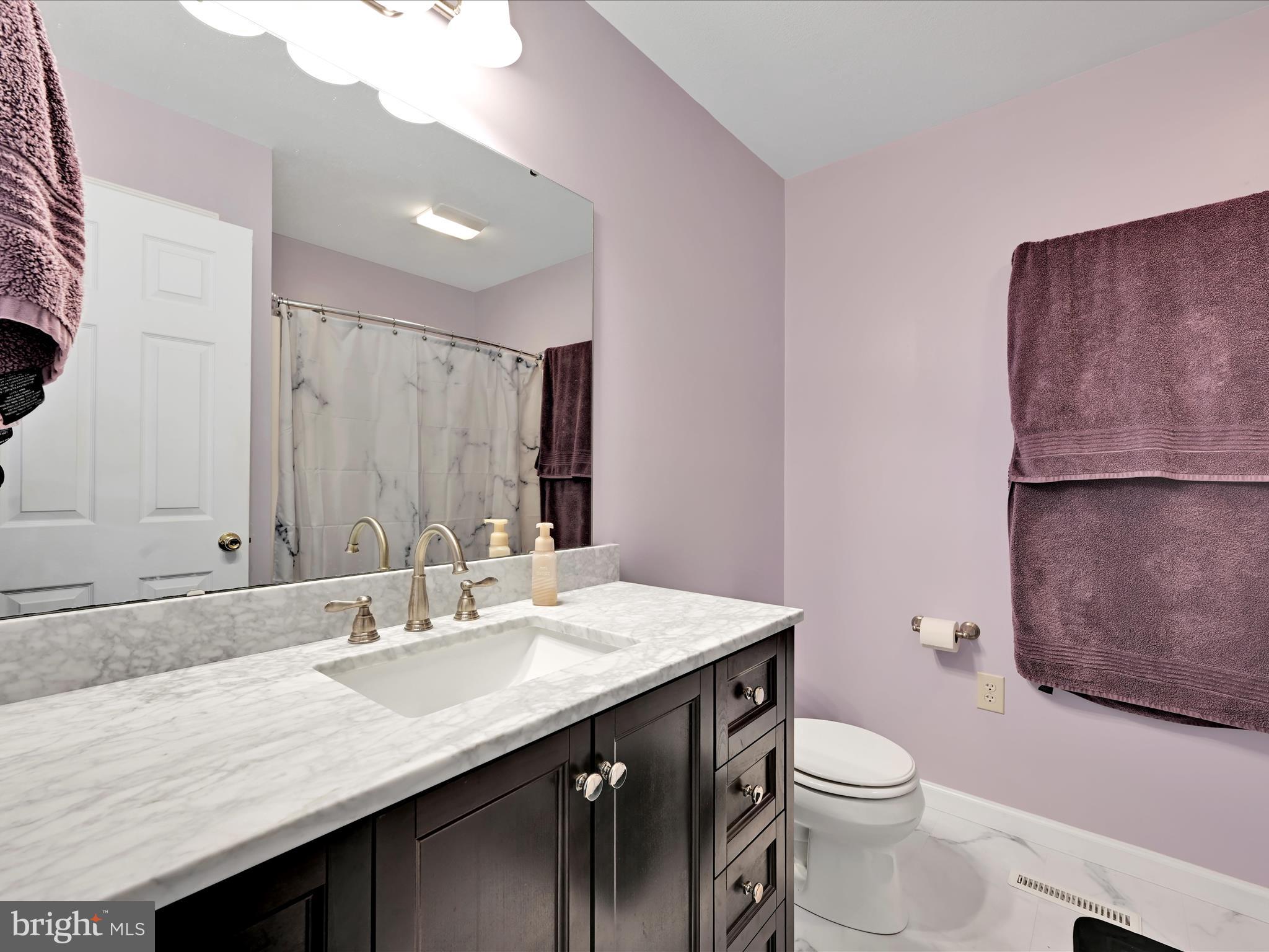 5150 Chestnut Grove Road Spring Grove, PA 17362 - Photo 20 of 56 a bathroom with a sink a toilet a mirror and vanity