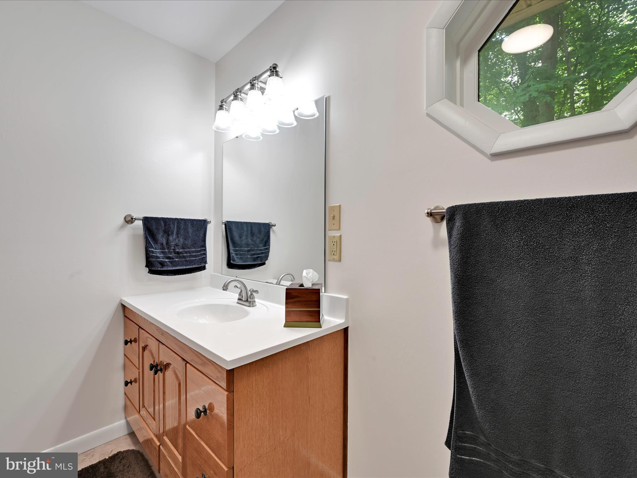 5150 Chestnut Grove Road Spring Grove, PA 17362 - Photo 28 of 56 a bathroom with a sink and a mirror