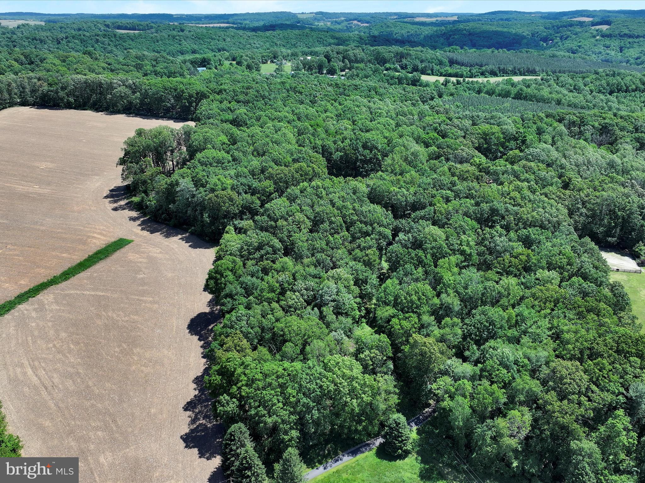 5150 Chestnut Grove Road Spring Grove, PA 17362 - Photo 55 of 56 an aerial view of a house with a lush green forest