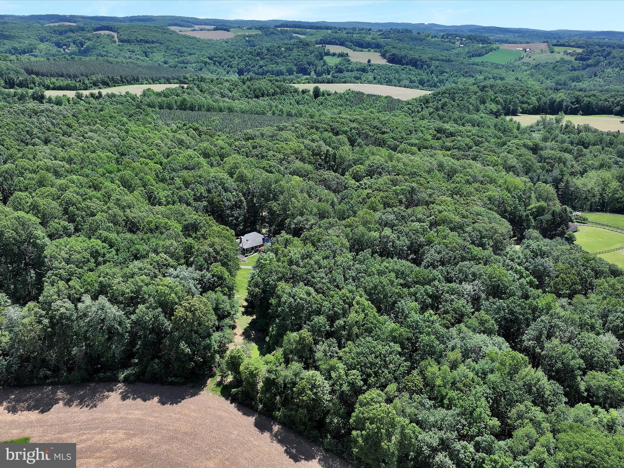 5150 Chestnut Grove Road Spring Grove, PA 17362 - Photo 56 of 56 an aerial view of a forest with houses