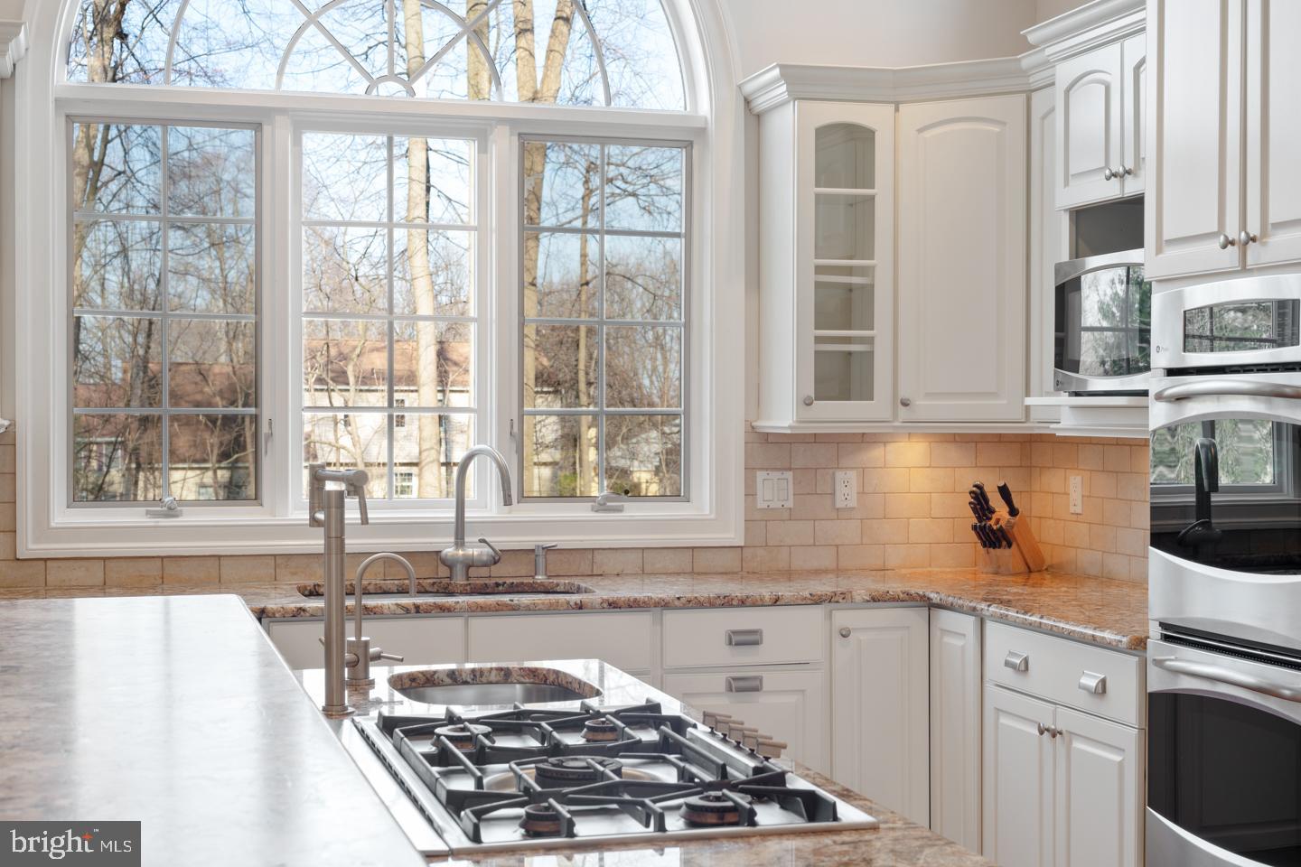 603 Longchamps Drive Devon, PA 19333 - Photo 18 of 43 Granite Countertops