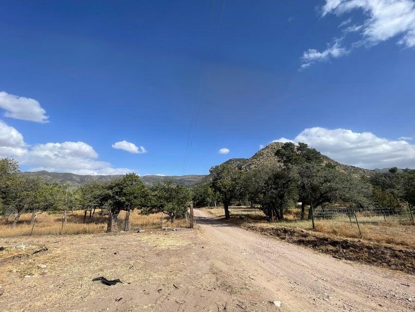 175 Hop Canyon Road Magdalena, NM 87825 - Photo 51 of 55 Gallery Image 51