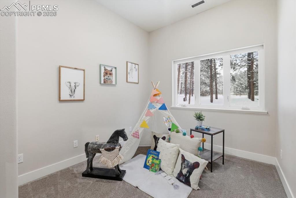 15755 Fool's Gold Lane Colorado Springs, CO 80921 - Photo 26 of 50
