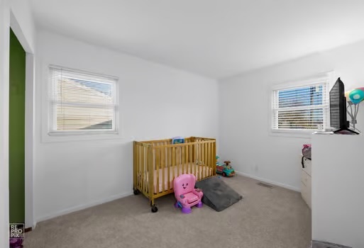 310 McKool Avenue Romeoville, IL 60446 - Photo 7 of 10 Gallery Image 7