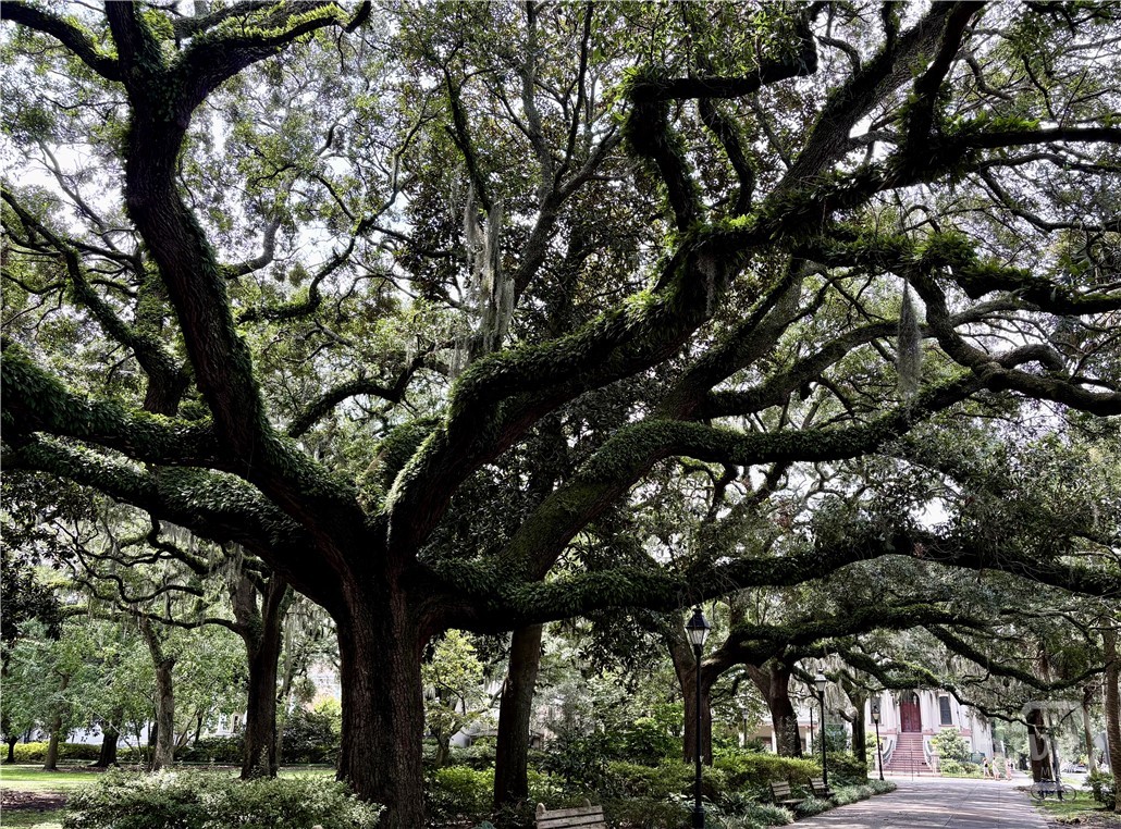 20 West Duffy Street, Unit D Savannah, GA 31401 - Photo 31 of 34