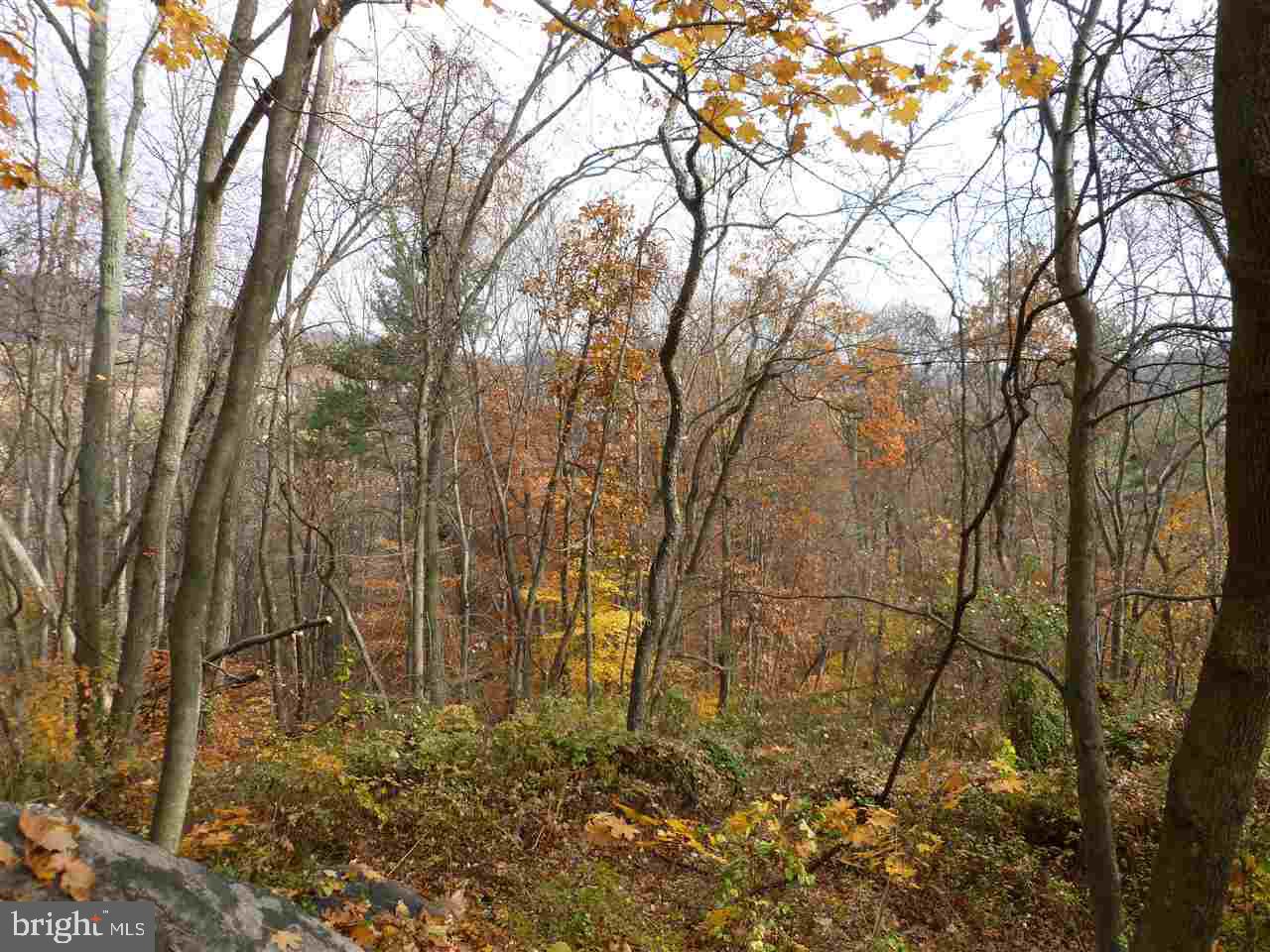 Lot 3 Gablers Road Aspers, PA 17304 - Photo 4 of 6 Gallery Image 4
