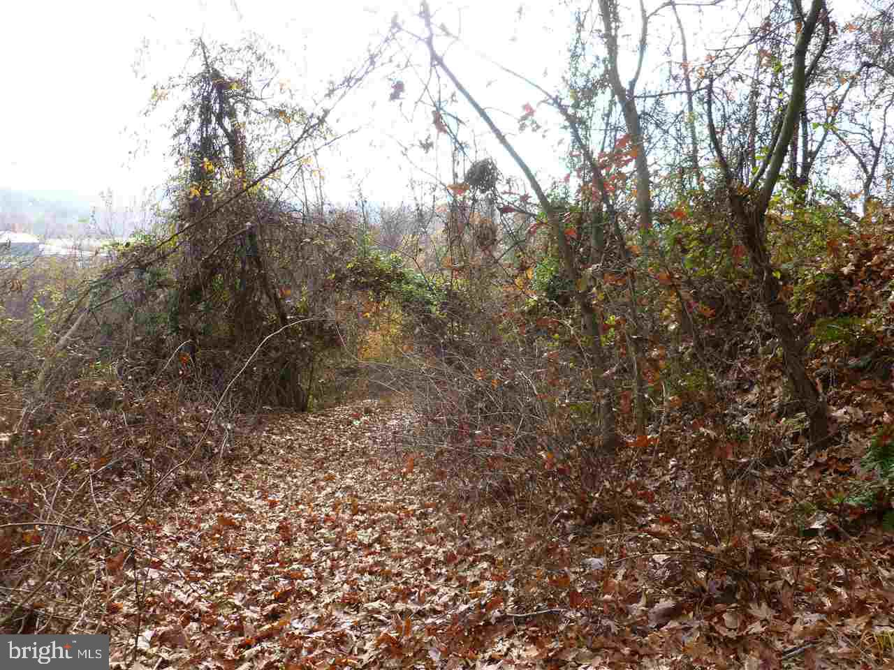 Lot 3 Gablers Road Aspers, PA 17304 - Photo 5 of 6 Gallery Image 5