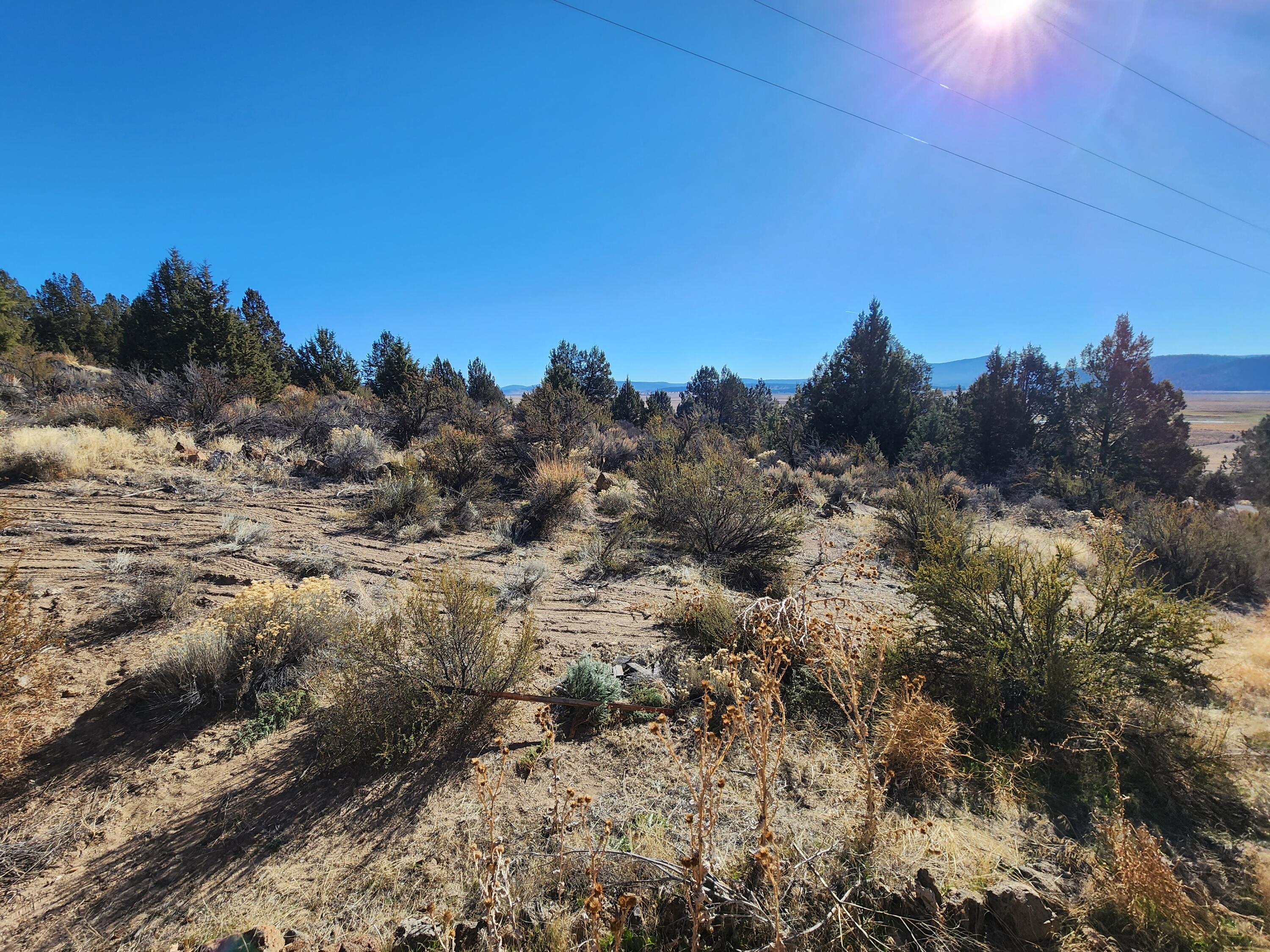 33687 Drews Road Chiloquin, OR 97624 - Photo 14 of 35 20231030_110009