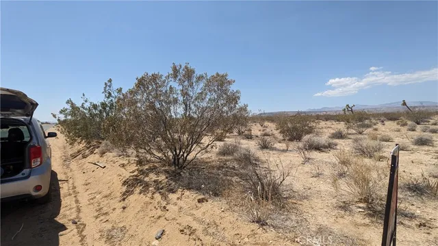 a view of a yard with wooden fence