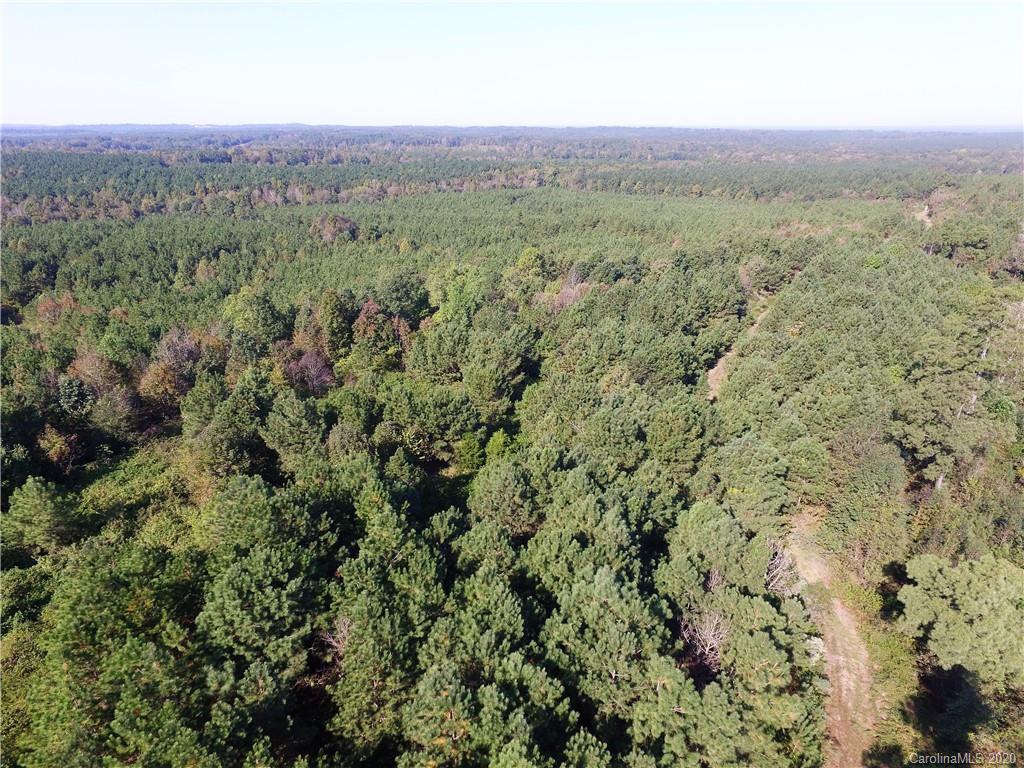 Tbd Stanback Ferry Road Lilesville, NC 28091 - Photo 1 of 11 Gallery Image 1