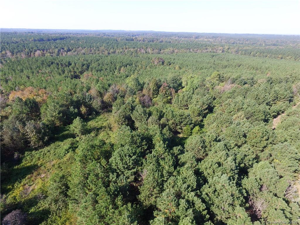 Tbd Stanback Ferry Road Lilesville, NC 28091 - Photo 2 of 11 Gallery Image 2