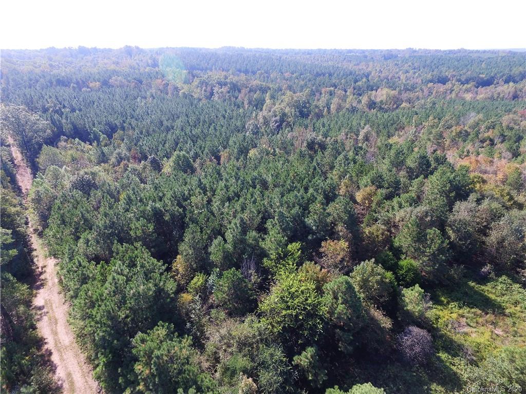 Tbd Stanback Ferry Road Lilesville, NC 28091 - Photo 4 of 11 Gallery Image 4