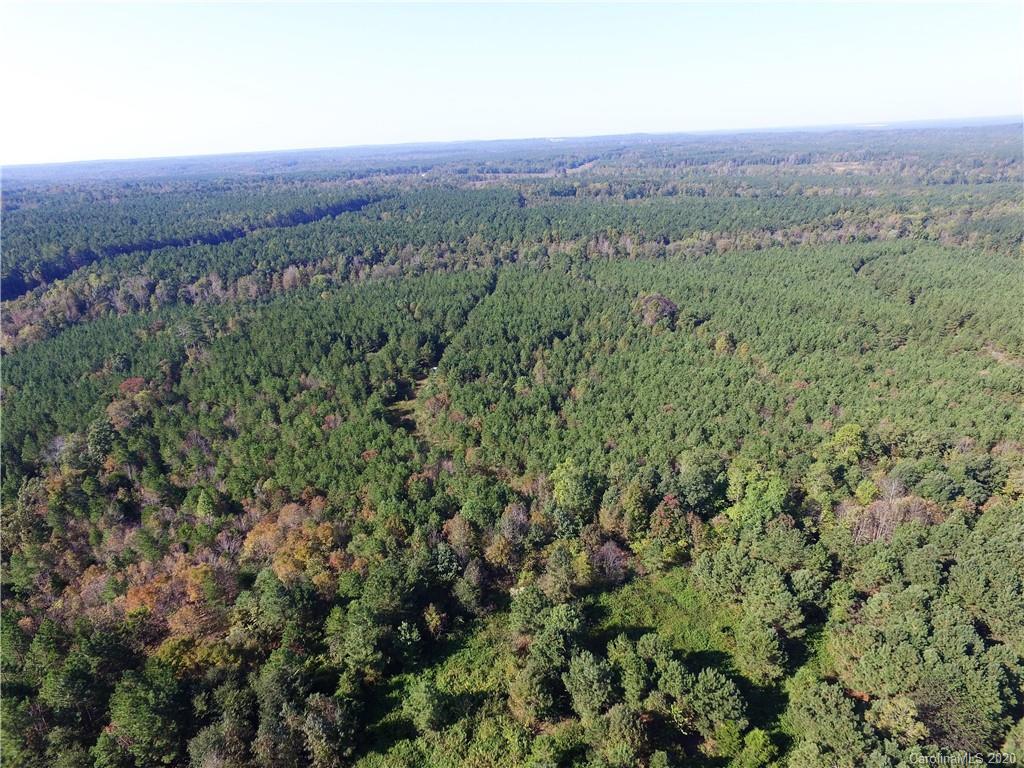 Tbd Stanback Ferry Road Lilesville, NC 28091 - Photo 5 of 11 Gallery Image 5