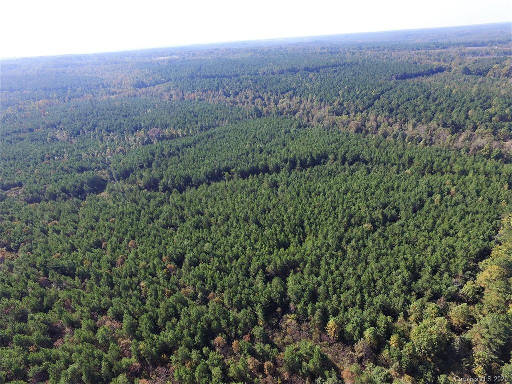 Tbd Stanback Ferry Road Lilesville, NC 28091 - Photo 10 of 11 Gallery Image 10