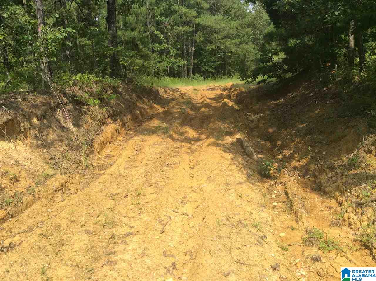231 Highway Ashville Al, Unit 1 Ragland, AL 35131 - Photo 10 of 26 Gallery Image 10