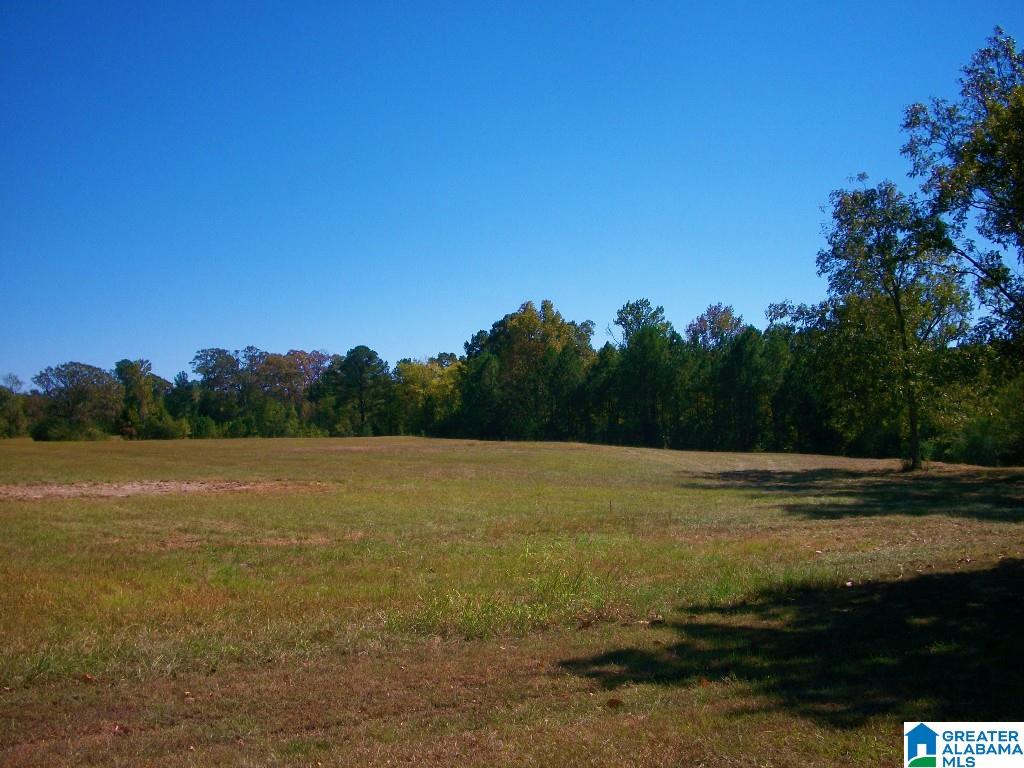 205 Gessler Drive Ohatchee, AL 36271 - Photo 30 of 50