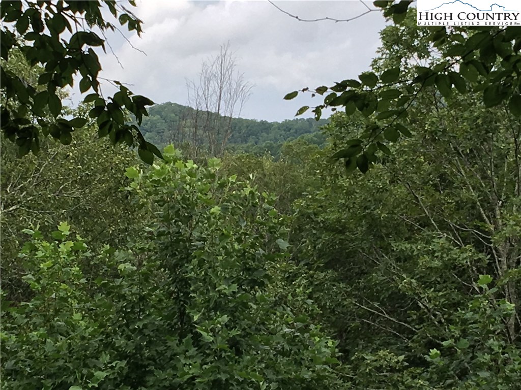219 Upper Fiddlestix Boone, NC 28607 - Photo 18 of 22 Gallery Image 18
