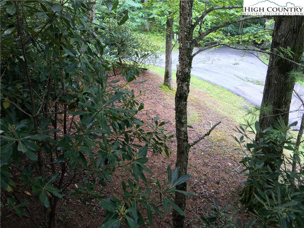 219 Upper Fiddlestix Boone, NC 28607 - Photo 19 of 22 Gallery Image 19