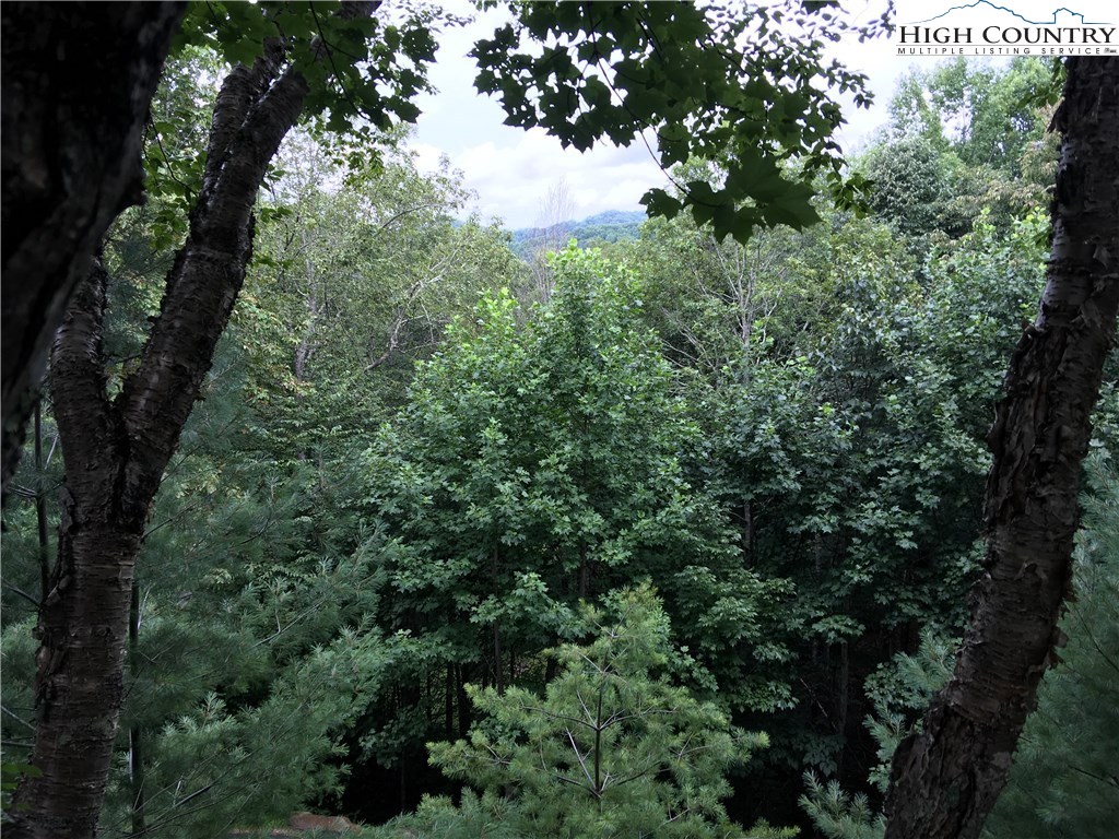 219 Upper Fiddlestix Boone, NC 28607 - Photo 21 of 22 Gallery Image 21