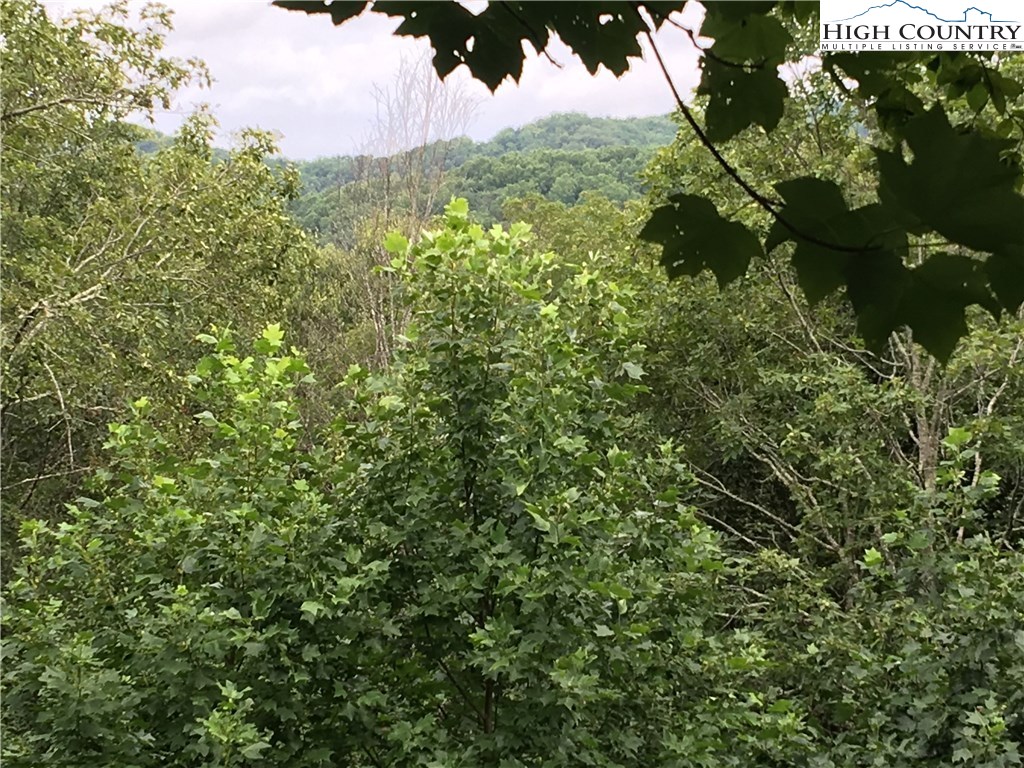 219 Upper Fiddlestix Boone, NC 28607 - Photo 22 of 22 Gallery Image 22