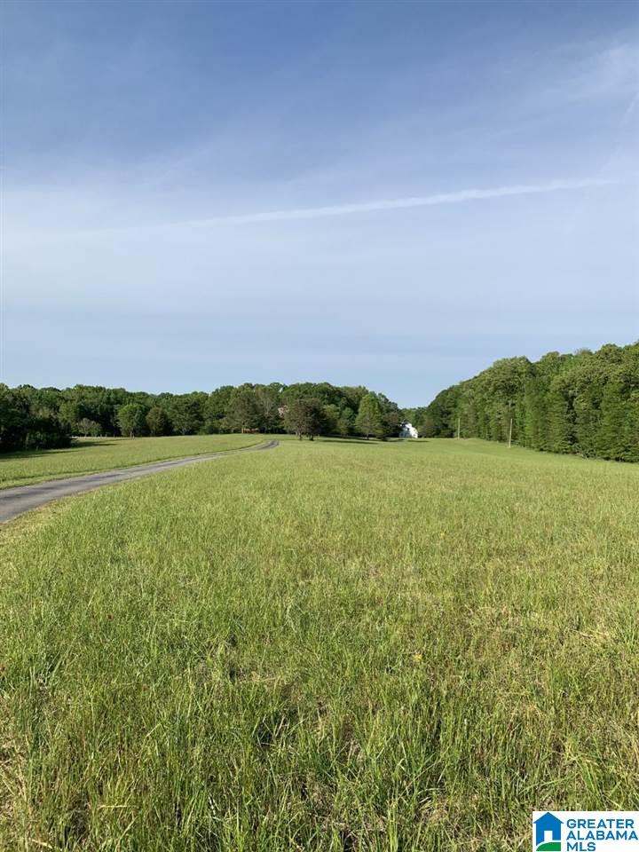 941 Overland Road Montevallo, AL 35115 - Photo 2 of 49
