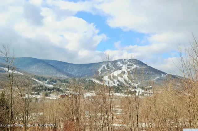 a view of a dry yard