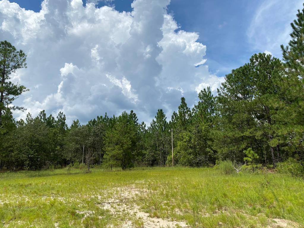 487 Pine Acres Road Windsor, SC 29856 - Photo 1 of 21