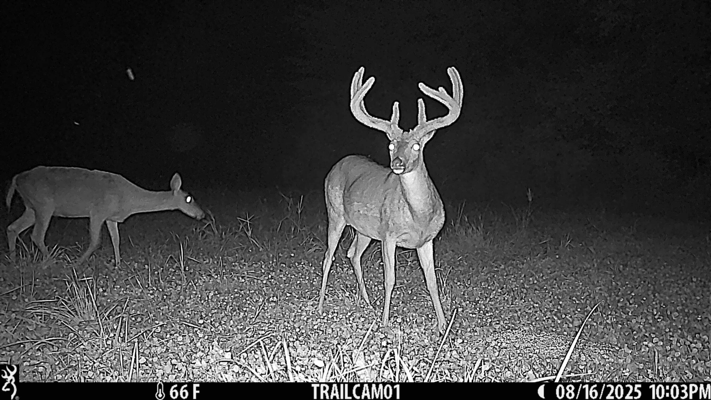 12680 Old Riley Road Frazeysburg, OH 43822 - Photo 92 of 95