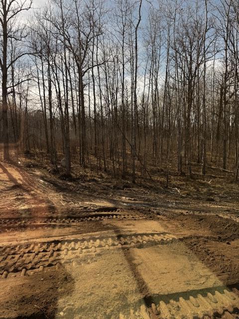 12161 Nature Road Northwest Bemidji, MN 56601 - Photo 18 of 59