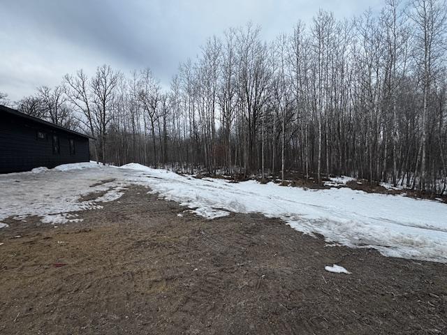 12161 Nature Road Northwest Bemidji, MN 56601 - Photo 10 of 59