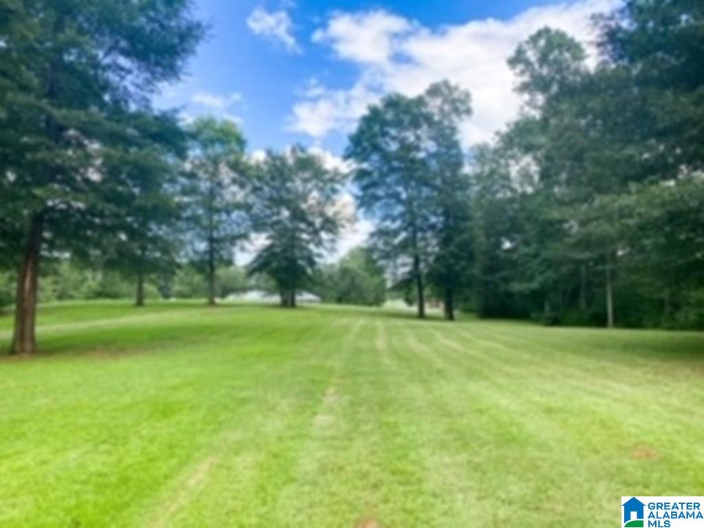 151 Henderson Road Lincoln, AL 35096 - Photo 14 of 47