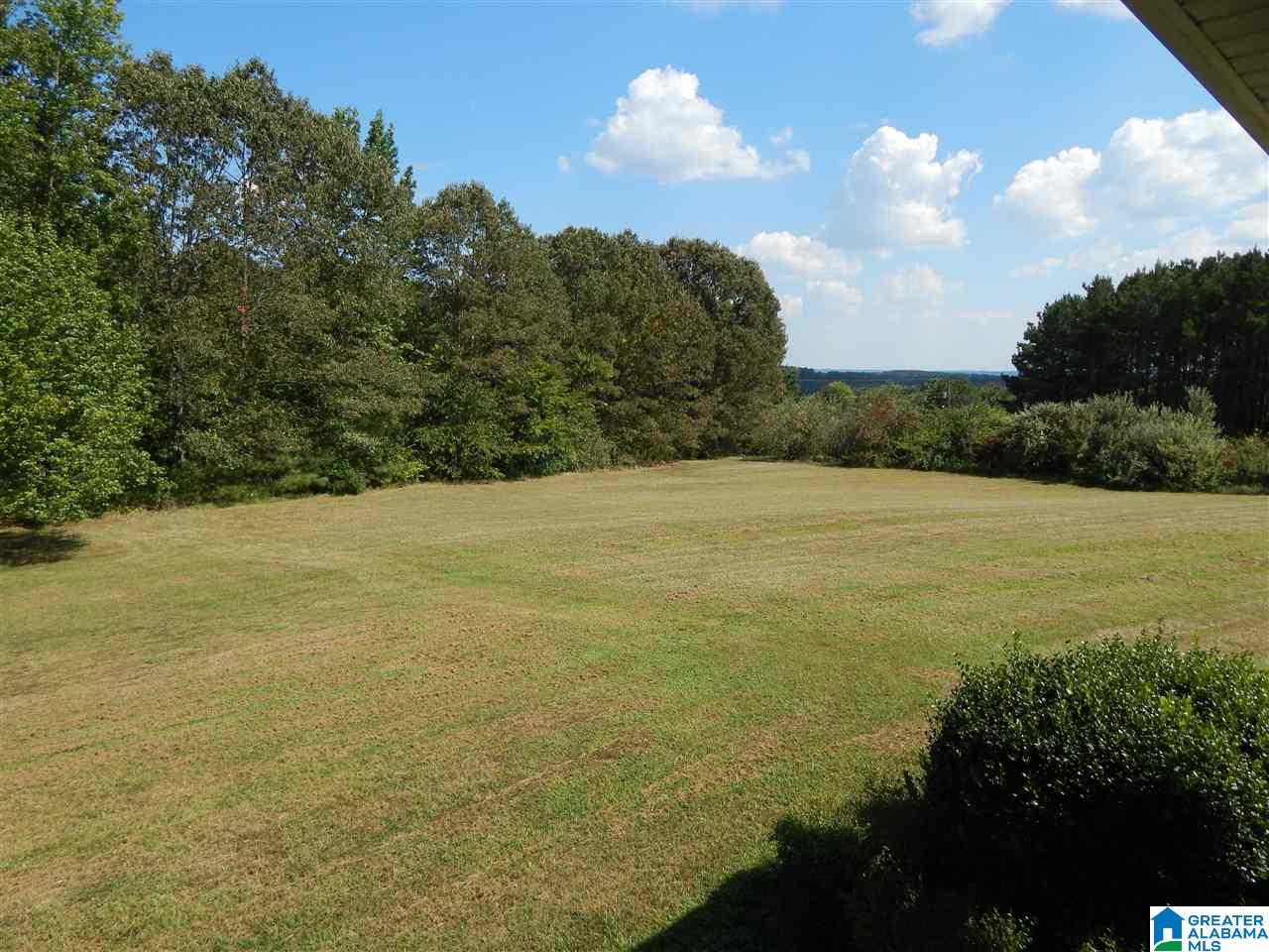 8980 Ingram Road Dora, AL 35062 - Photo 18 of 18