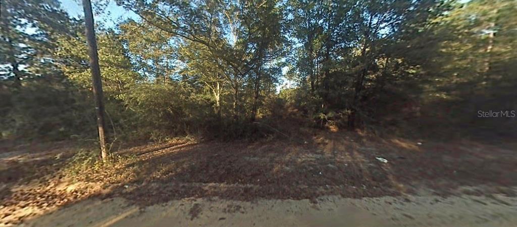 12307 3rd Street Fountain, FL 32438 - Photo 2 of 6