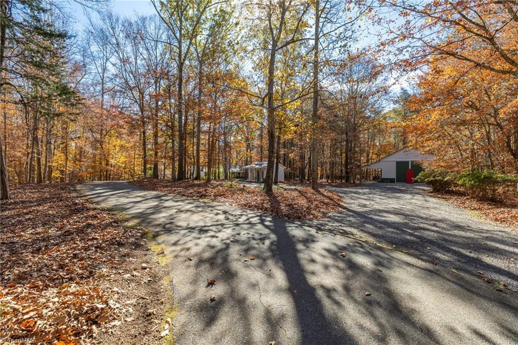 4300 Williams Road Lewisville, NC 27023 - Photo 3 of 50 Driveway leading to house with storage cottage and huge barn.