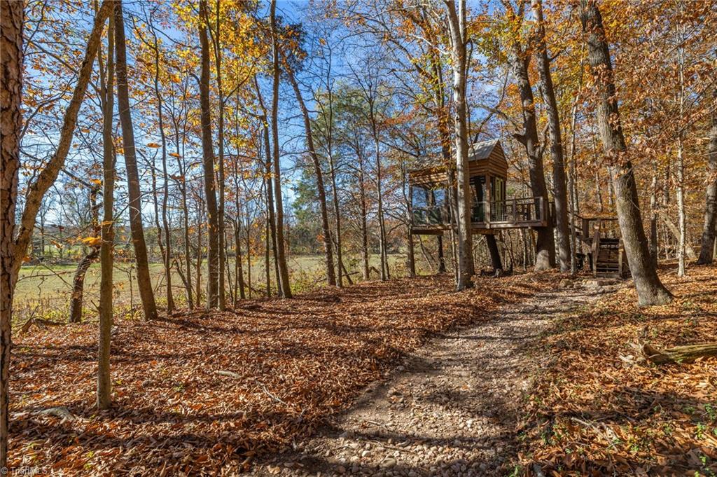 4300 Williams Road Lewisville, NC 27023 - Photo 38 of 50 Treehouse in the woods overlooking clearing on property