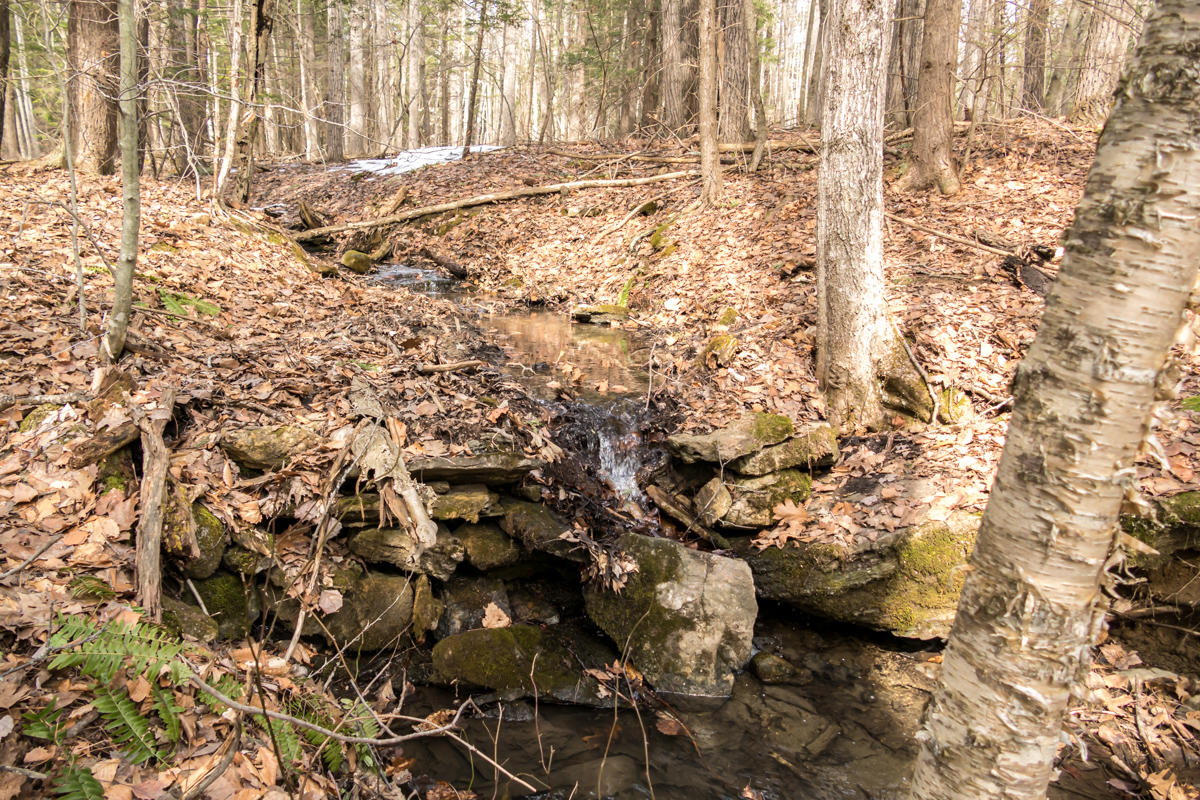 116 Pownal Road Freeport, ME 04032 - Photo 42 of 43 43-Backyard Stream (3 of 3)