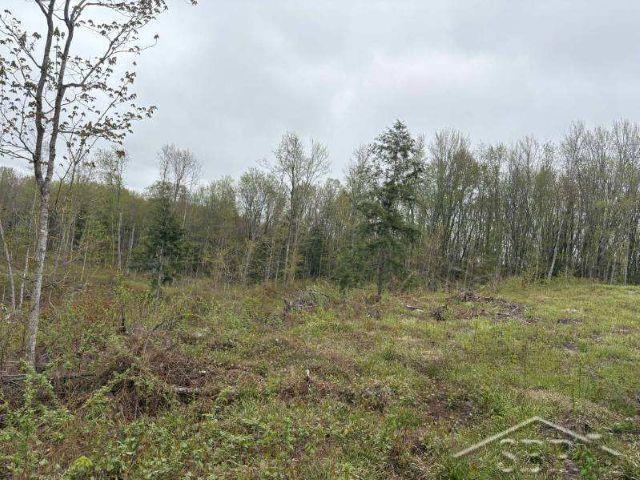 N948 Old Plank Road Wetmore, MI 49895 - Photo 22 of 26