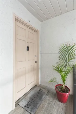 a view of a potted plant in a empty room