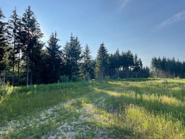 0 East Stockwell Road Harrison, MI 48625 - Photo 6 of 34