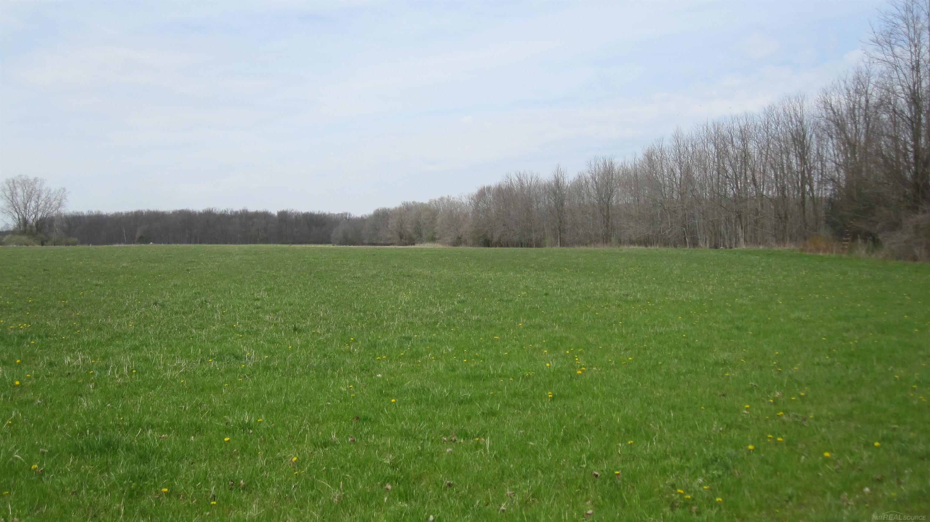 1-vl Jeddo Road Avoca, MI 48006 - Photo 16 of 18