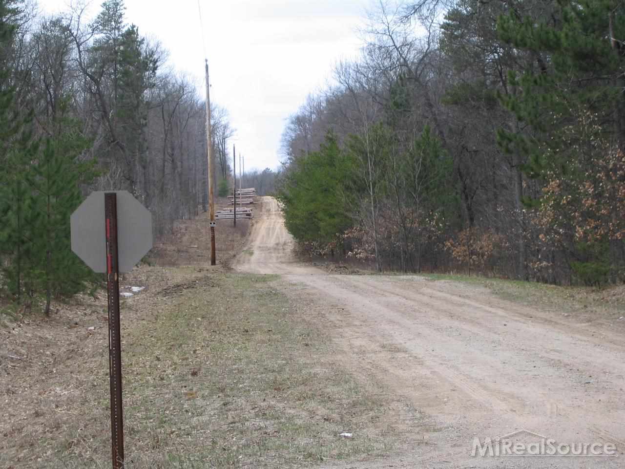 0 Meridian Line Road, Unit PARCEL 3 Johannesburg, MI 49751 - Photo 3 of 4