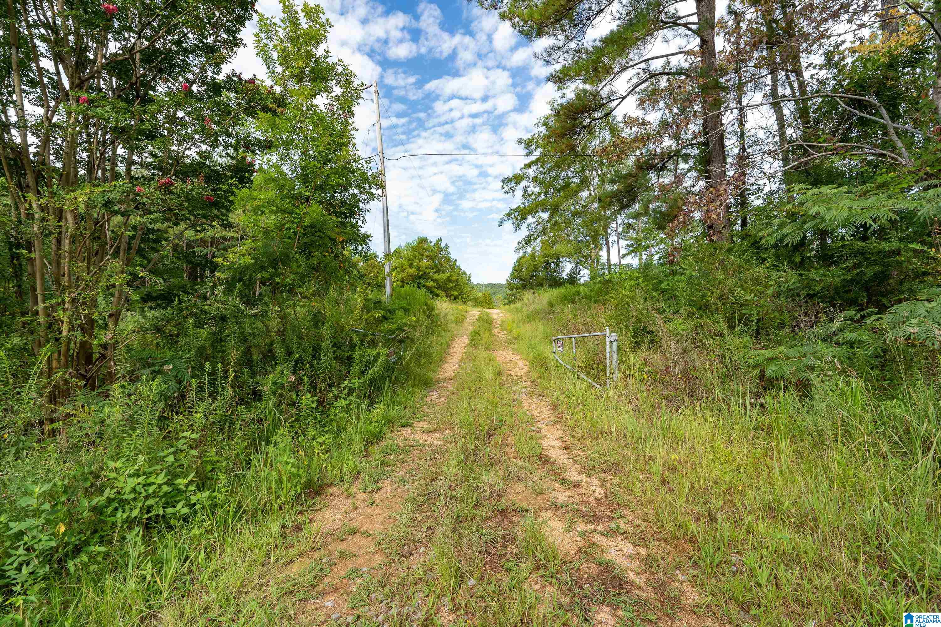 1062 Nixon Road Bessemer, AL 35022 - Photo 4 of 13