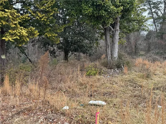 $60,000 | 349 East King Street, King, NC 27021