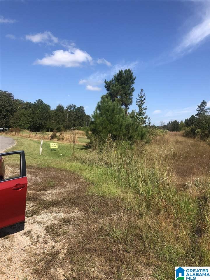 Lost Creek Road Carbon Hill, AL 35549 - Photo 5 of 6